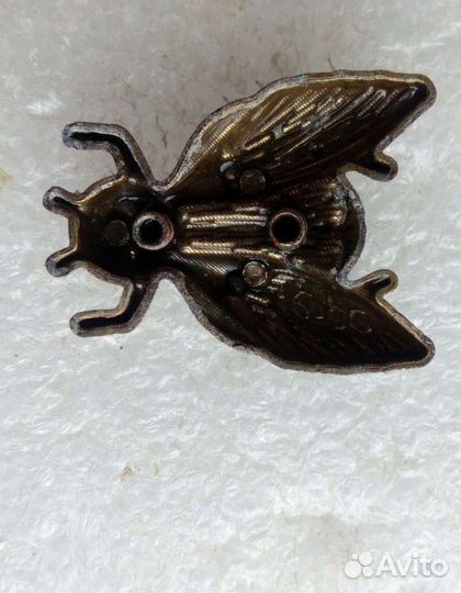 Муха цокотуха