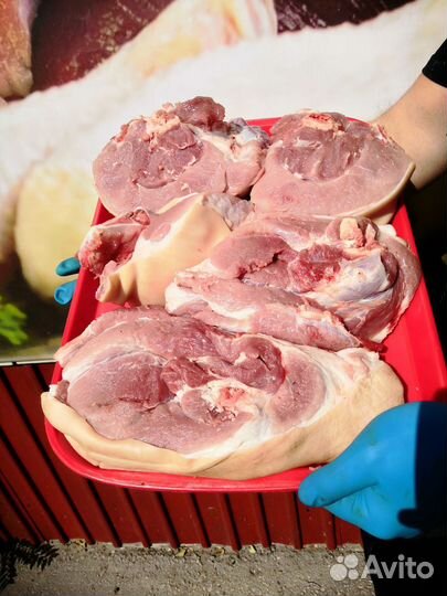 Свинина, телятина, фарш с доставкой