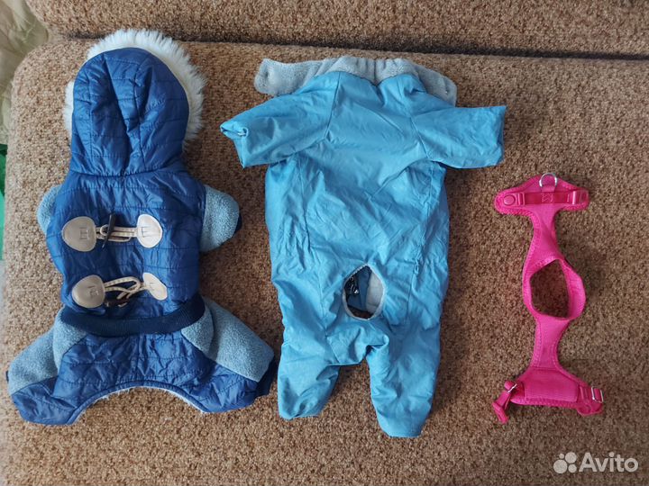 Одежда для собак