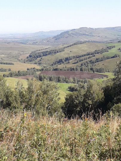 Участок 8 сот. (ИЖС)