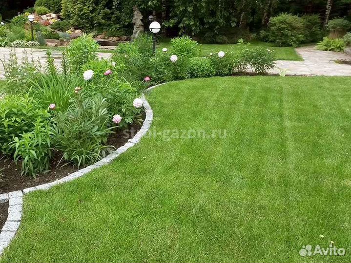 Рулонный газон, укладка, продажа