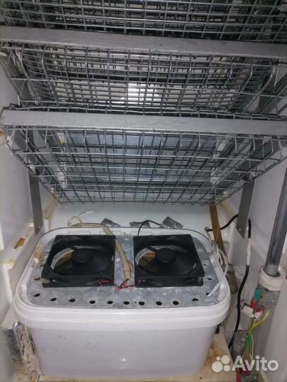 Инкубатор для яиц автоматический бу