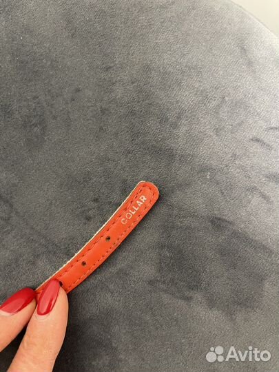 Ошейник Collar