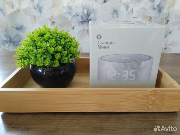 Новая Колонка Яндекс станция мини