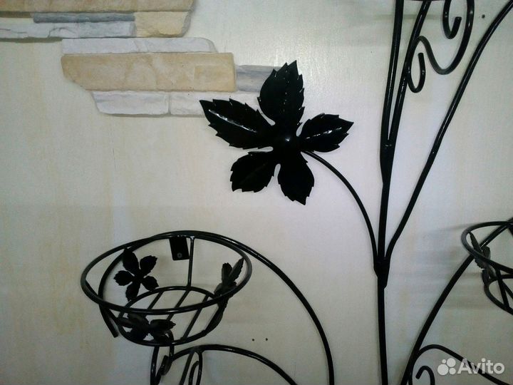 Цветочница настенная