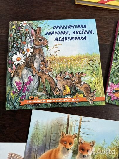 Книги для детей пакетом Приключения зайчонка