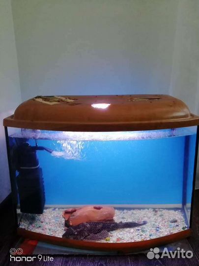 Аквариум 25-30л + комплектующие