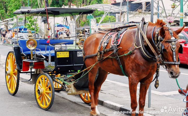 Джокьякарта экипаж антикварная статуэтка сер.ххв