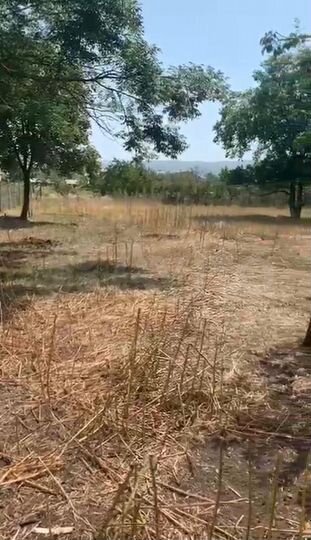 Дом 53 м² на участке 24 сот.