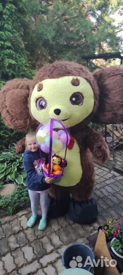 Поздравление от Чебурашки/Белого Мишки/Панды/Тэдди