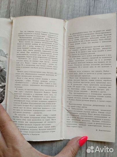 Набор открыток СССР тибердинский заповедник