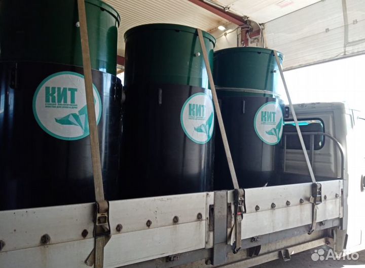 Септики кит