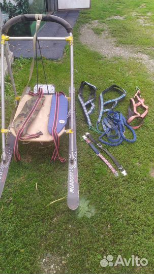 Шлейка для собаки