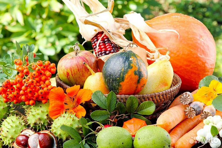 Торф торфосмесь