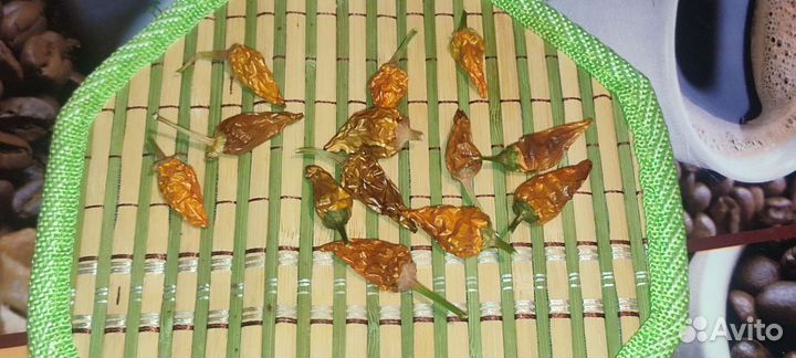 Перец декоративный острый