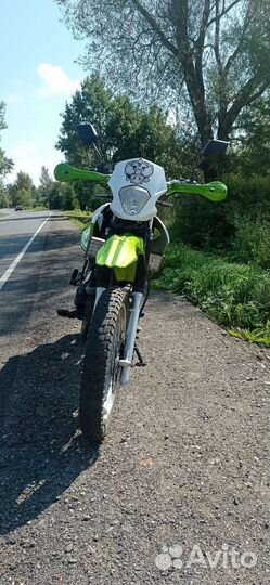 Рейсер пантера 250