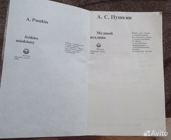 Медный всадник А.С.Пушкин