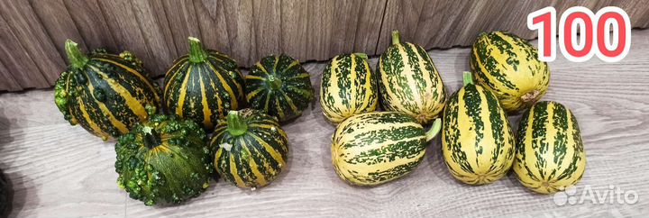 Тыква декоративная