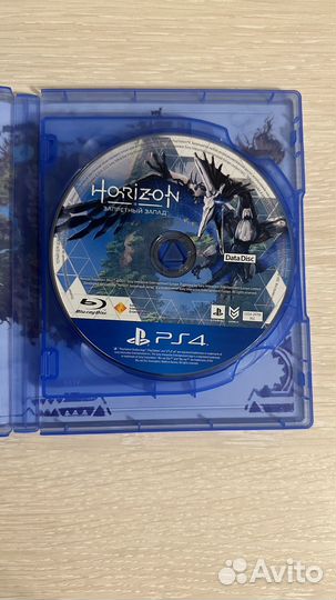 Horizon forbidden west