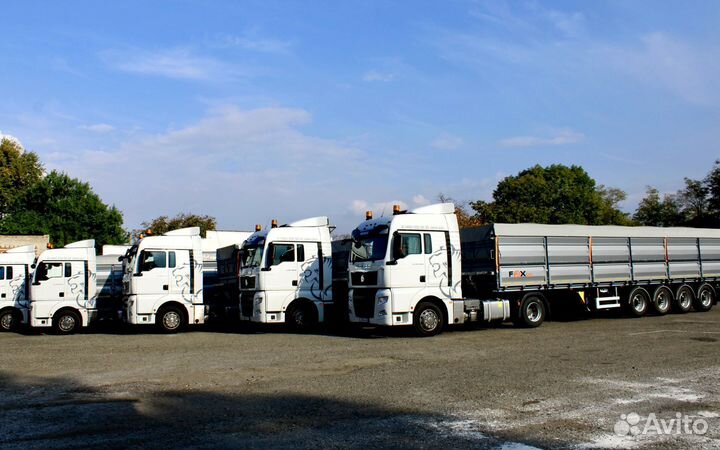 Полуприцеп зерновоз FOX Trailer Зерновоз-бортовой 4 оси, 2023