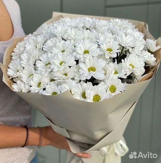 Хризантема. Букеты Цветы доставка