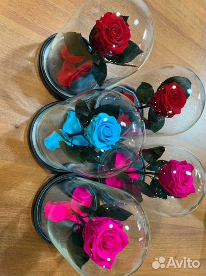 Розы в колбе в наличии в Челнах