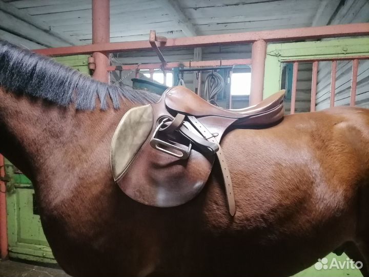 Конкурное седло Stubben Siegfried