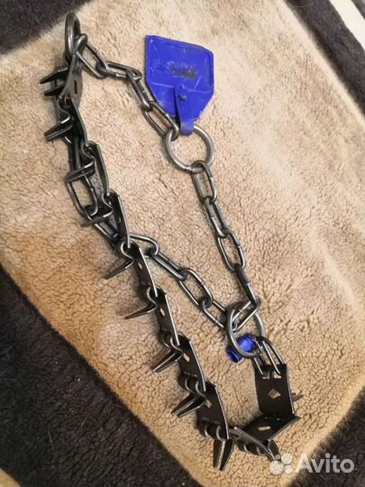 Строгий ошейник