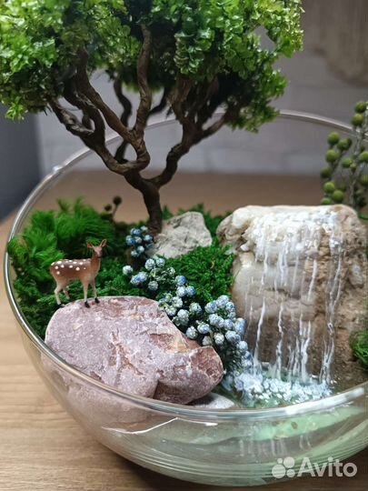 Моссариум флорариум