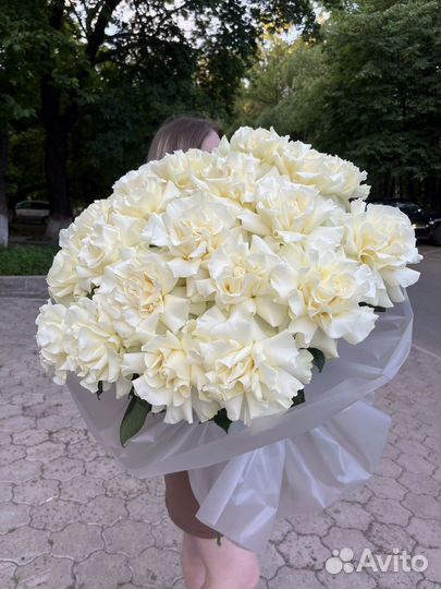 Букет из 25 роз