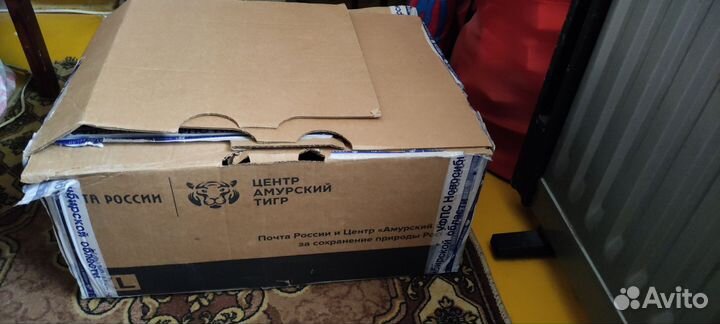 Вещи женские