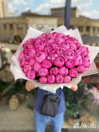 Пионы оптом