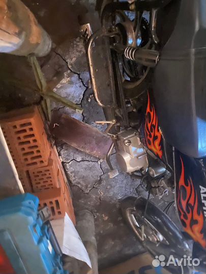 Альфа сабур