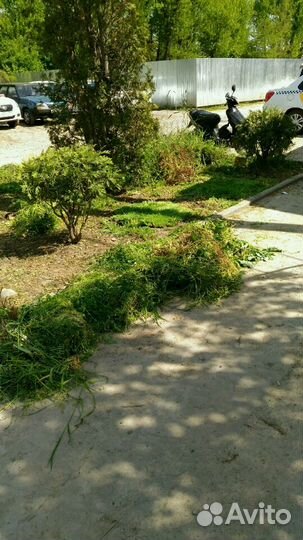 Помощник в хозяйстве, домашний мастер