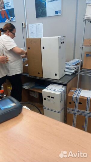 Орхидея фаленопсис