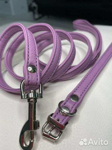 Поводок и ошейник для собак, кошек