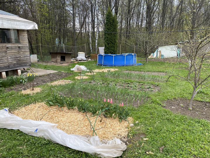 Дача 24 м² на участке 10 сот.