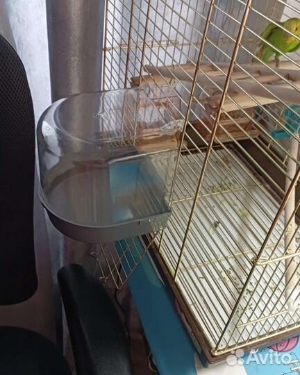 Купалка для птиц