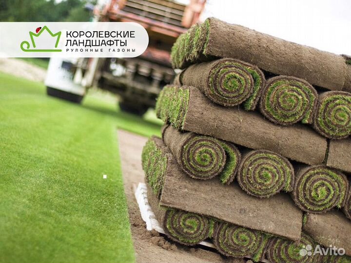 Рулонный газон