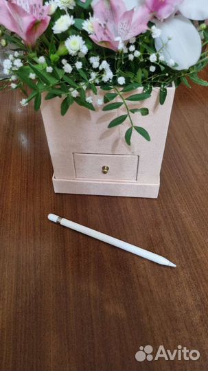 Apple pencil 1