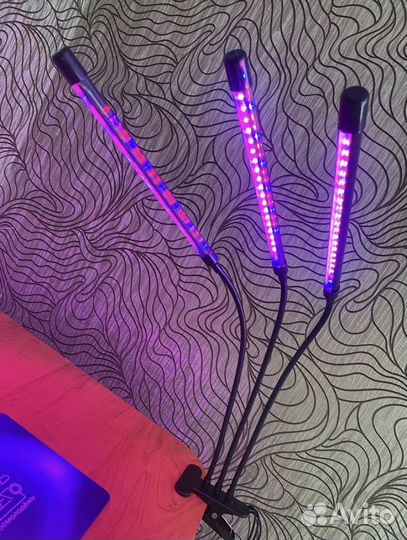 Фитолампа для растений