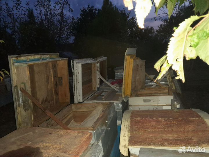 Продаются улии