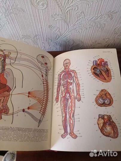 Популярная медицинская энциклопедия
