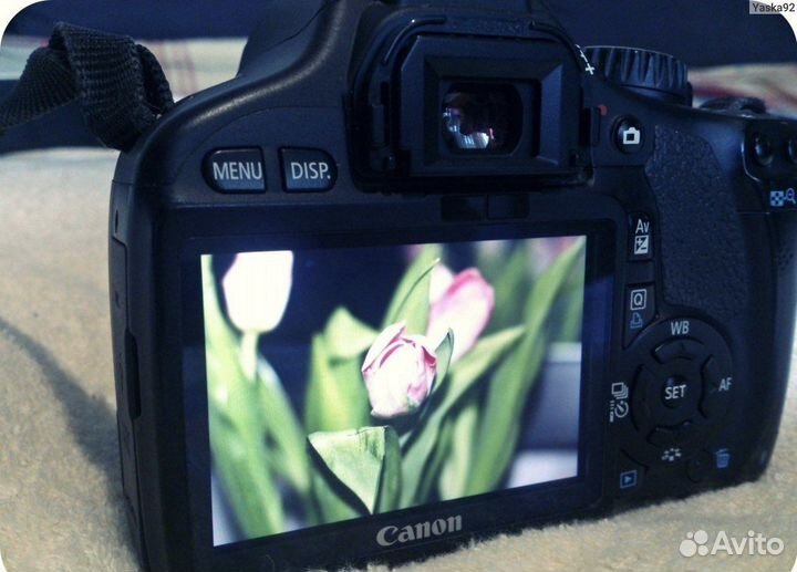 Аренда фотоаппарата canon фотоаппарат в аренду