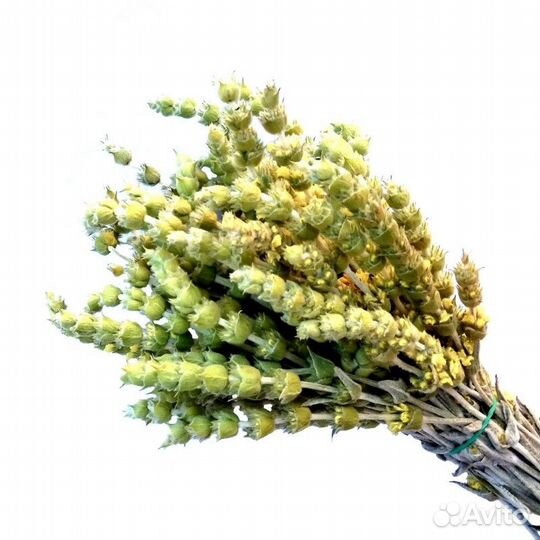 Лекарственные травы: зверобой, татар чай, лаванда