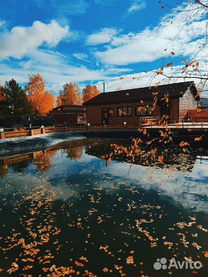 18авг24 Гастротур: 