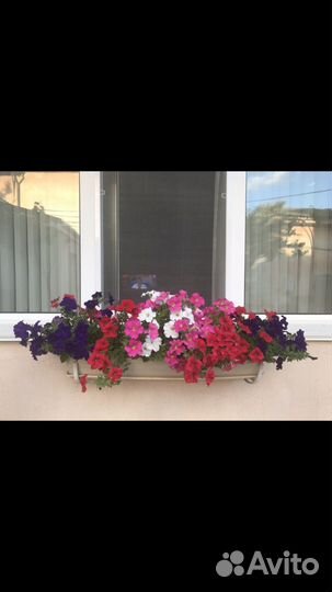 Кашпо для цветов подвесное