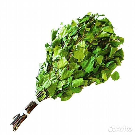 Веники березовые для бани