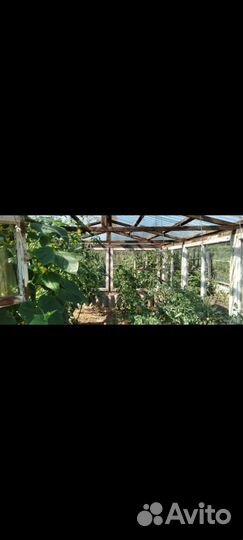 Профнастил пэт