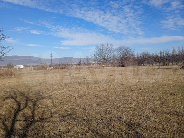 Участок 1500 м² (Грузия)